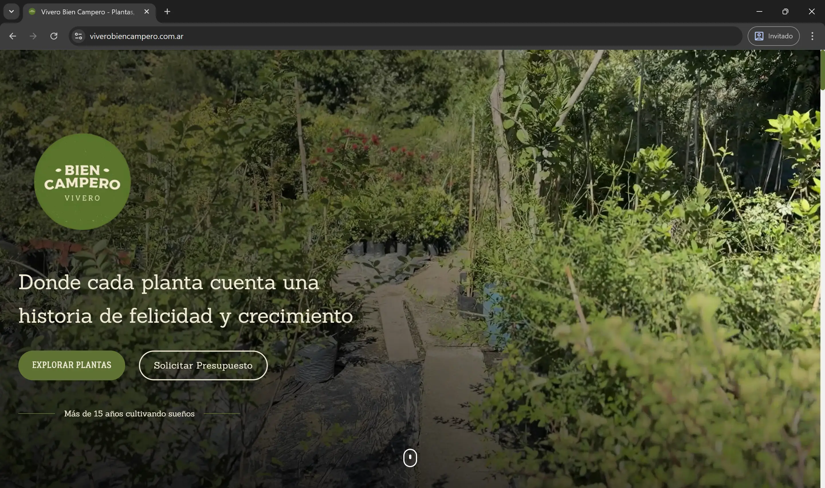 Vivero Bien Campero